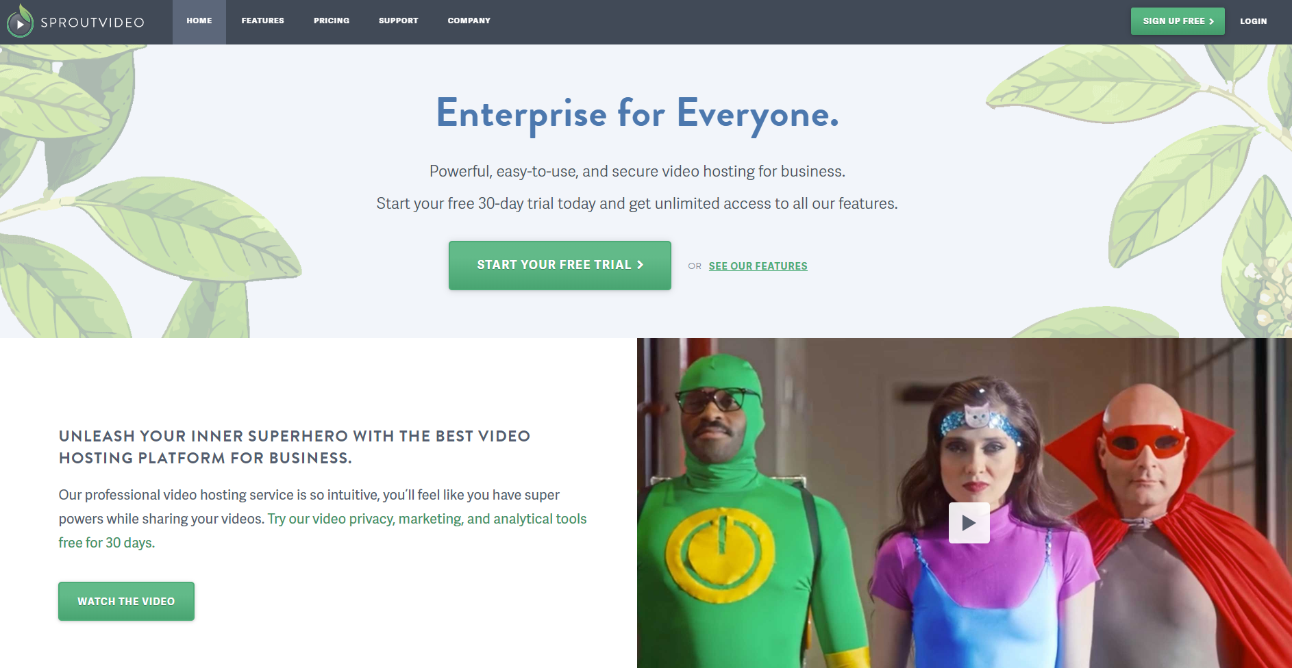 Private Video Hosting