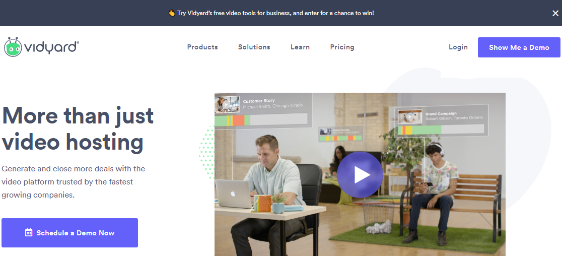 Video Hosting Platforms